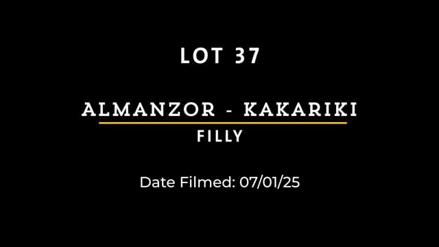 Lot 37