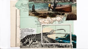 Withy Lore- Richard's Story- 'Huge Joy' and '8 claws'