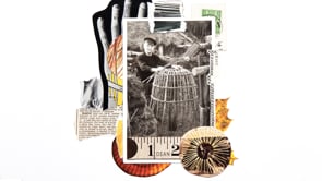 Withy Lore- Barry's Story- 'Master of the Withy'