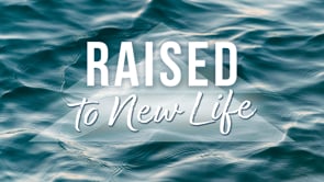 Raised to New Life | Peter Visscher 