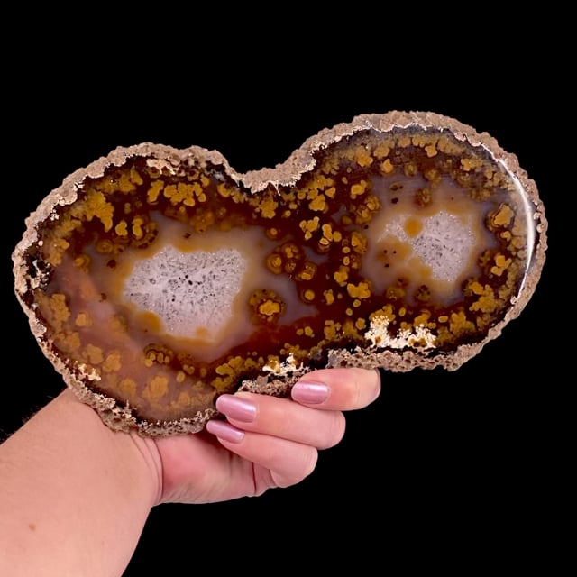 Quartz var: Agate (polished slice)