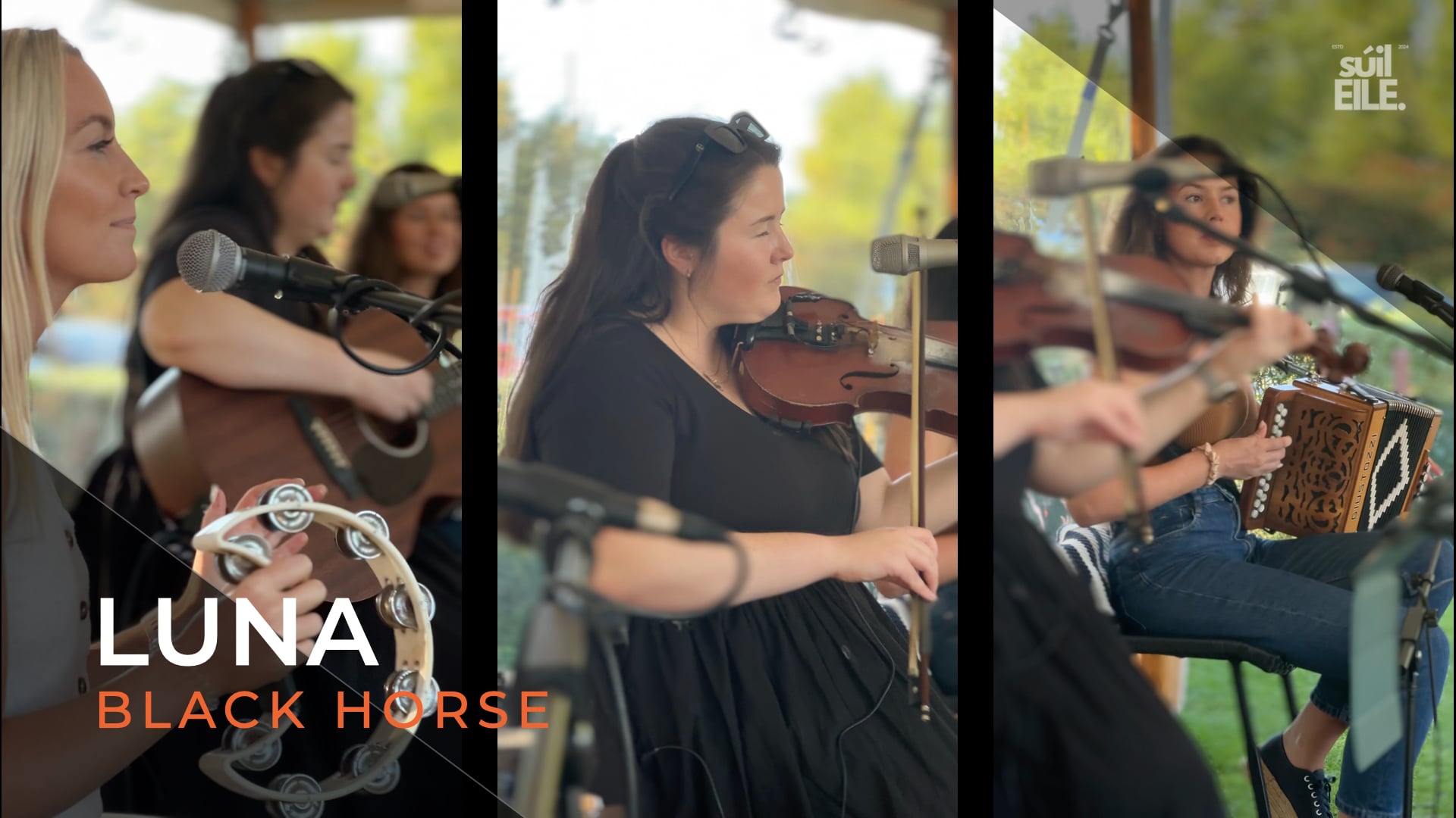 LUNA - Black Horse & The Cherry Tree