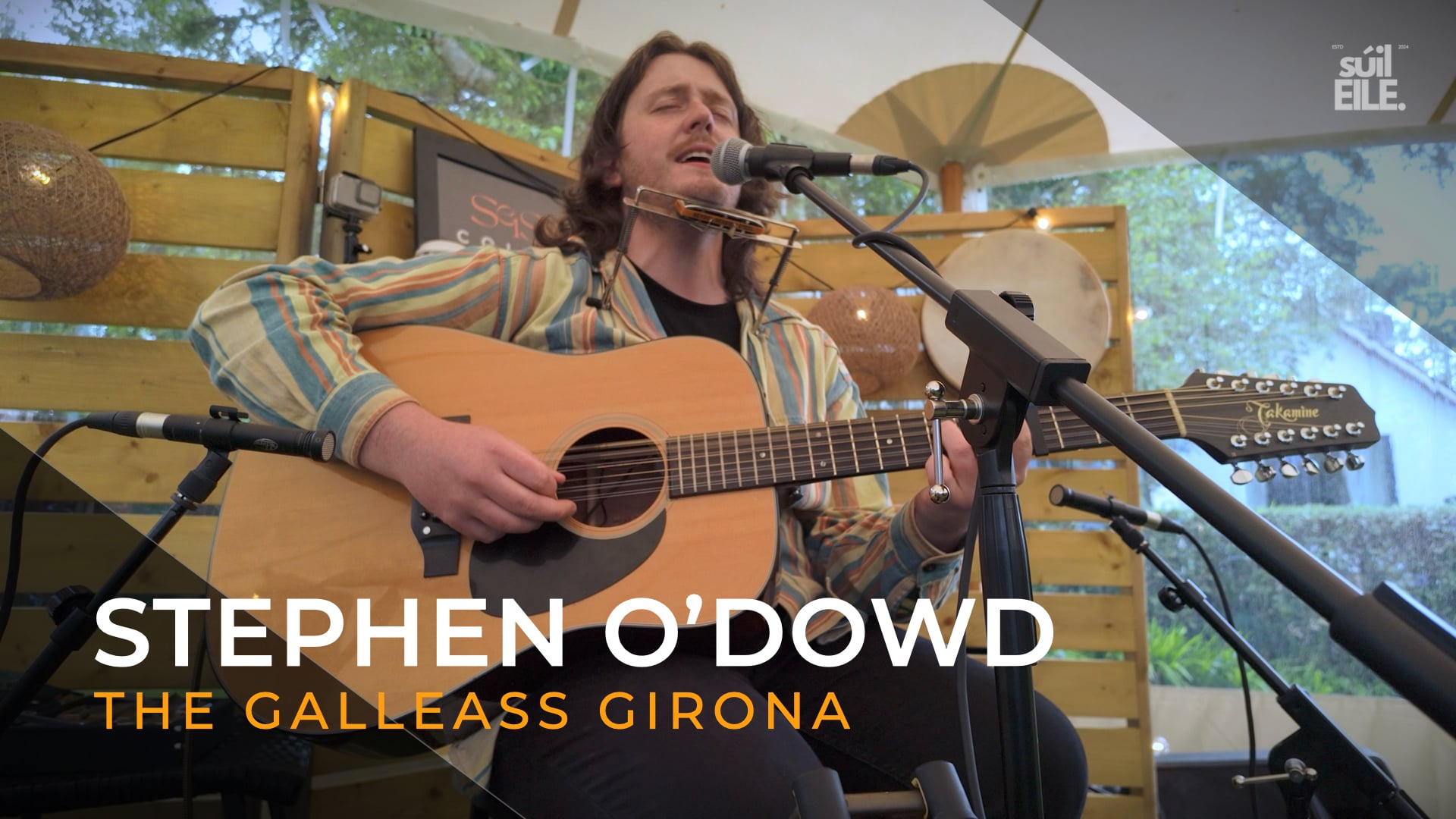 VIDEOS Stephen O'Dowd