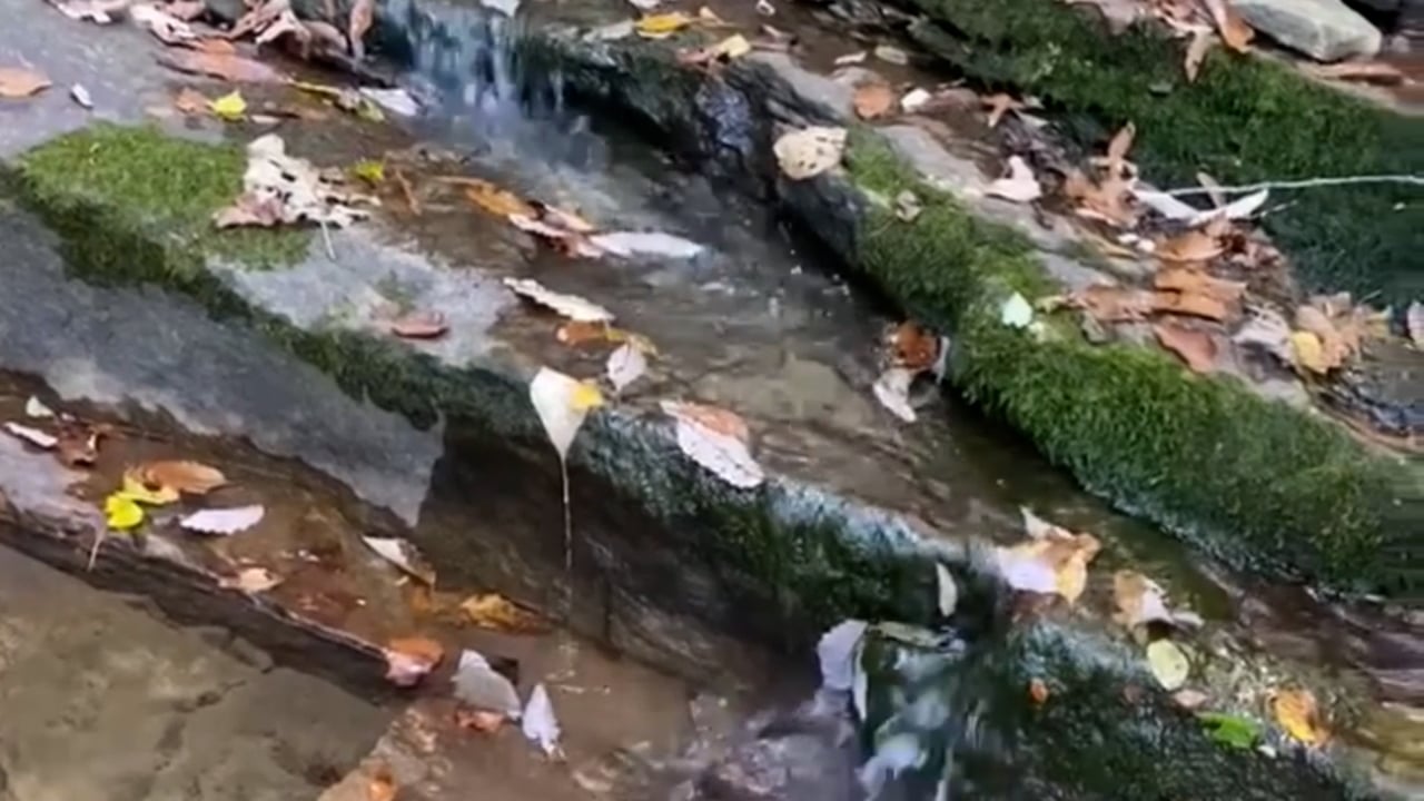 https://i.vimeocdn.com/video/1970834489-9a1935417db8b4b02c349c1ea528a49aba4f8ce7daed1a6592a7f9bd10d86440-d