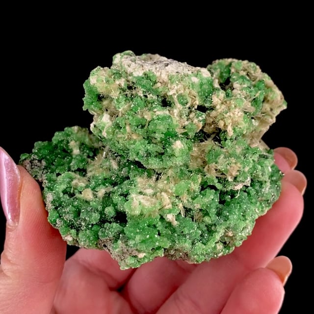 Grossular (Chromium-bearing) with Diopside