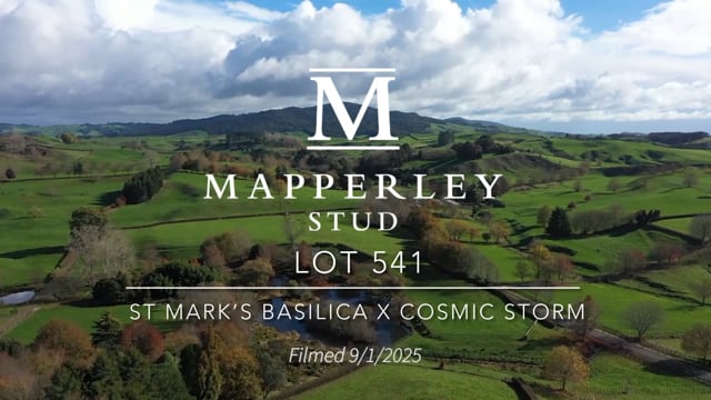 Lot 541