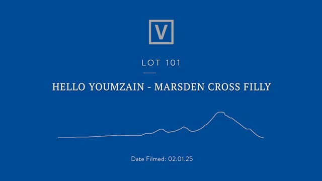 Lot 101
