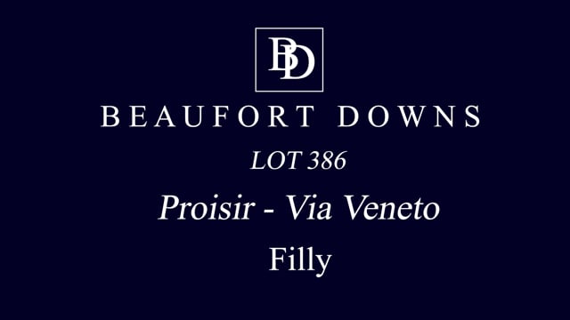 Lot 386