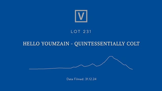Lot 231