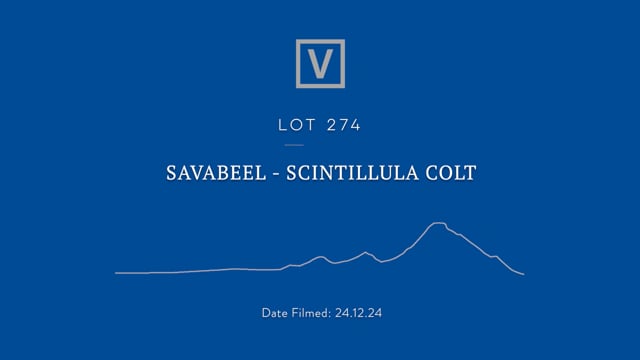 Lot 274