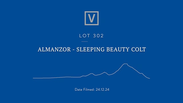 Lot 302