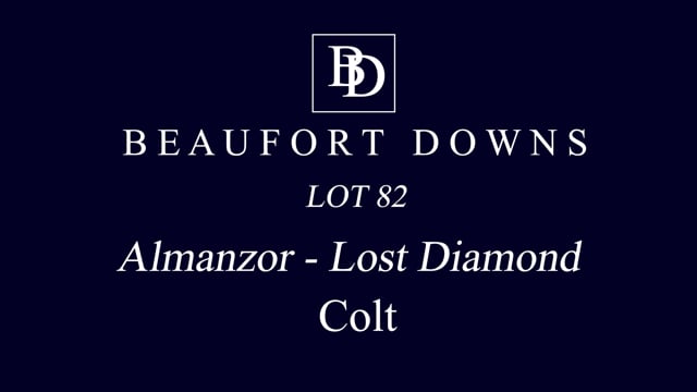 Lot 82