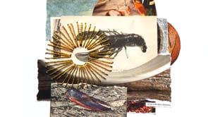 Withy Lore- Nigel's Story 'You’re a millionaire'