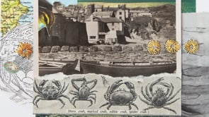 Withy Lore- John's Story 'The first one was more like a bird’s nest'