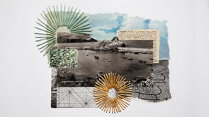 Withy Lore- Sue's story 'A way forward'