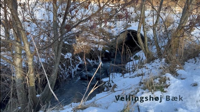 Vinterdag - Hjørring Bjerge og et par søer