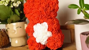 Osos de Flores