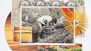 Withy Lore - Taffy and Robert's Story '4 a day'