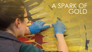 Related Embedded Video Item Thumbnail