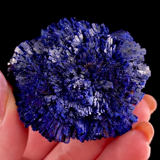 Azurite (''floater'' ''rose'') (1980s)