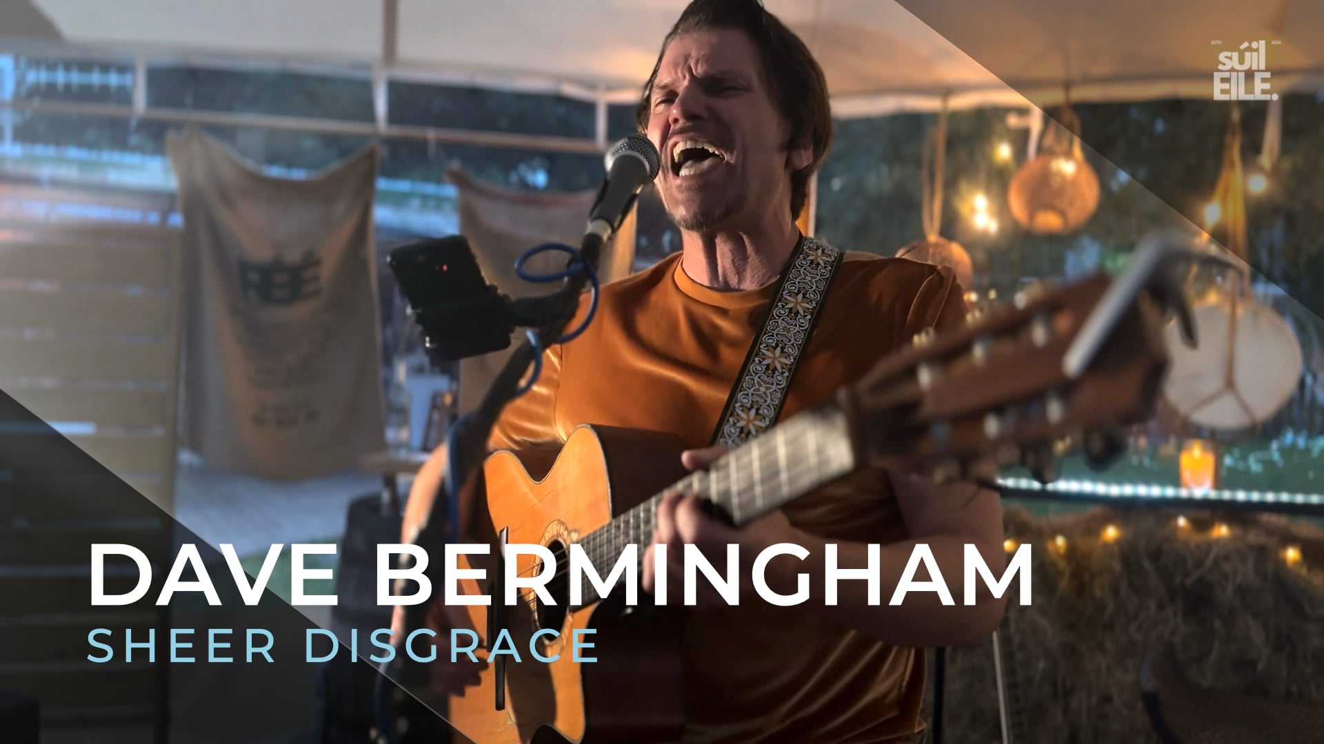 Dave Bermingham - Sheer Disgrace