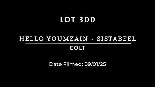 Lot 300