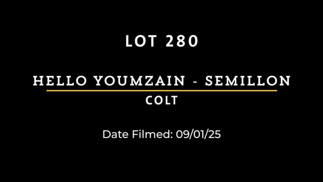 Lot 280