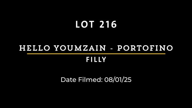 Lot 216