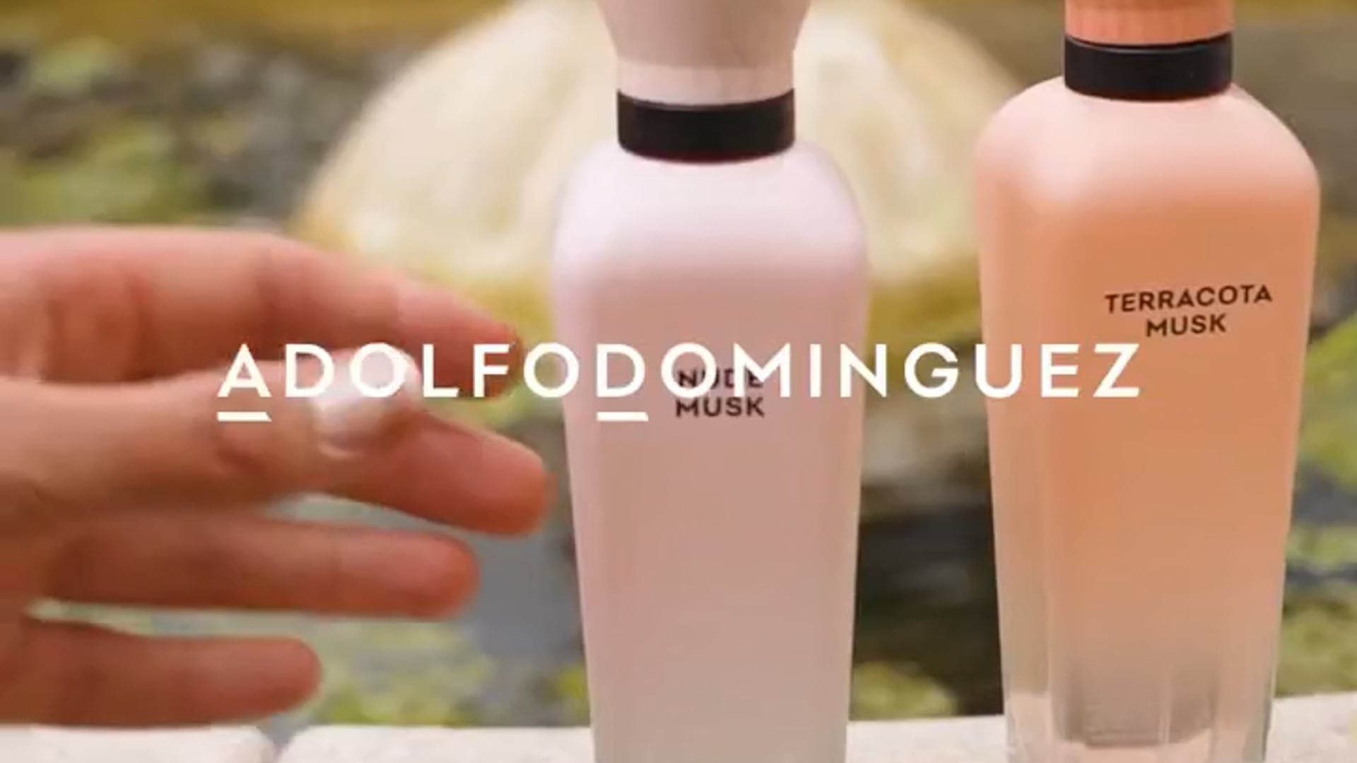 Evento de Lanzamiento -  Adolfo Domínguez