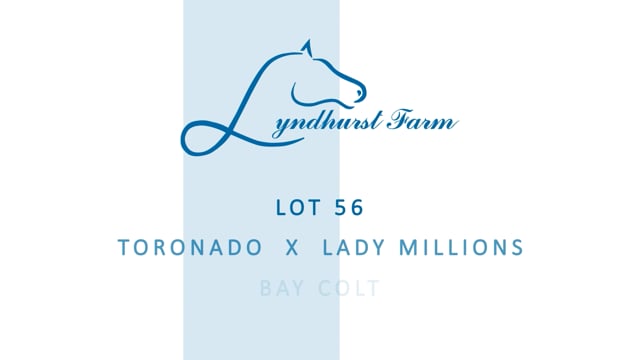 Lot 56