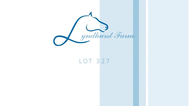 Lot 327