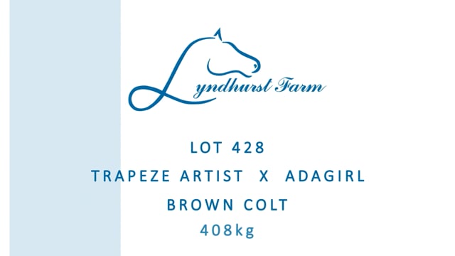 Lot 428