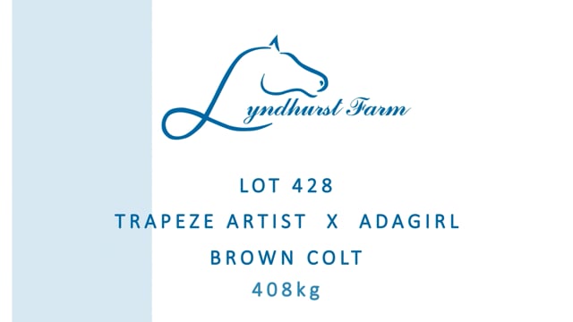 Lot 428