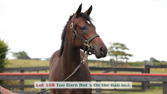 Lot 168