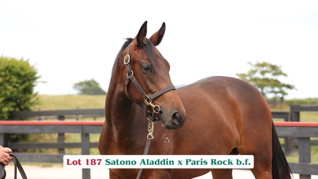 Lot 187