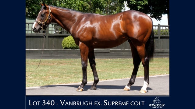 Lot 340