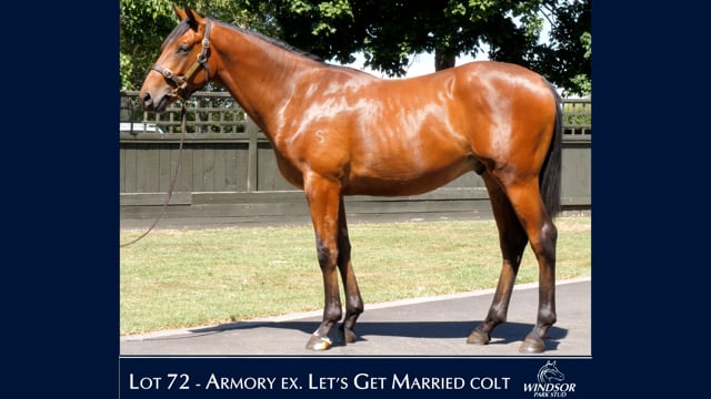 Lot 72