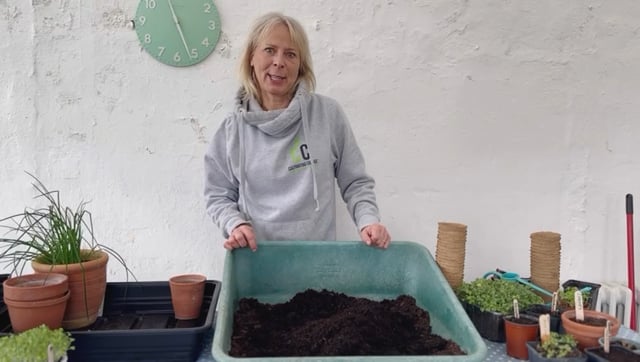 Sowing Chives