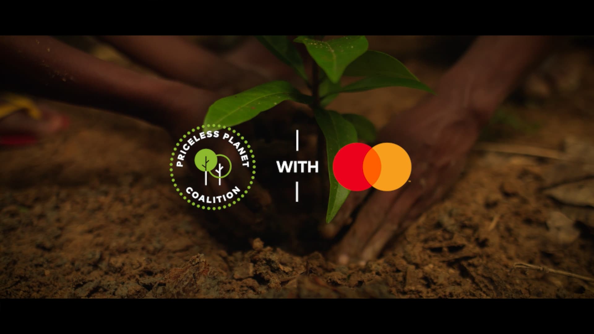 Seeding Connection – Philippines