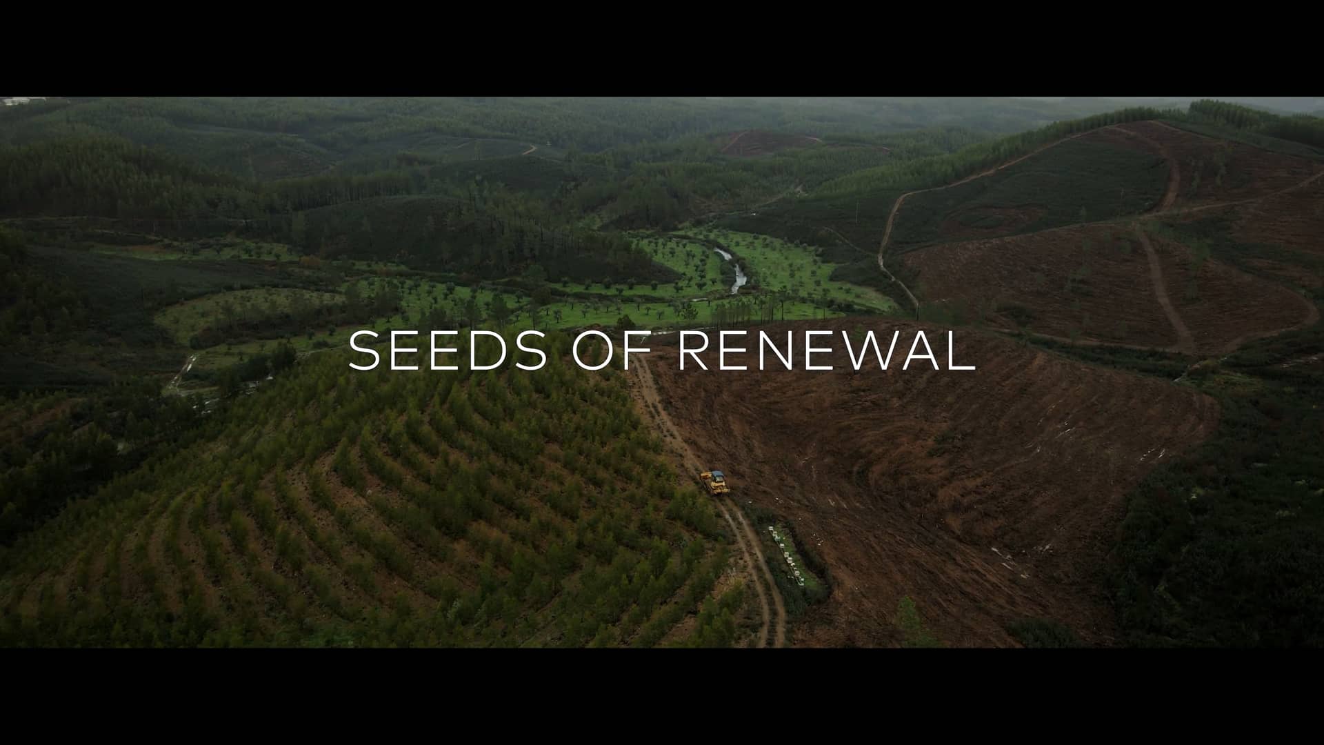 Seeds of Renewal – Portugal