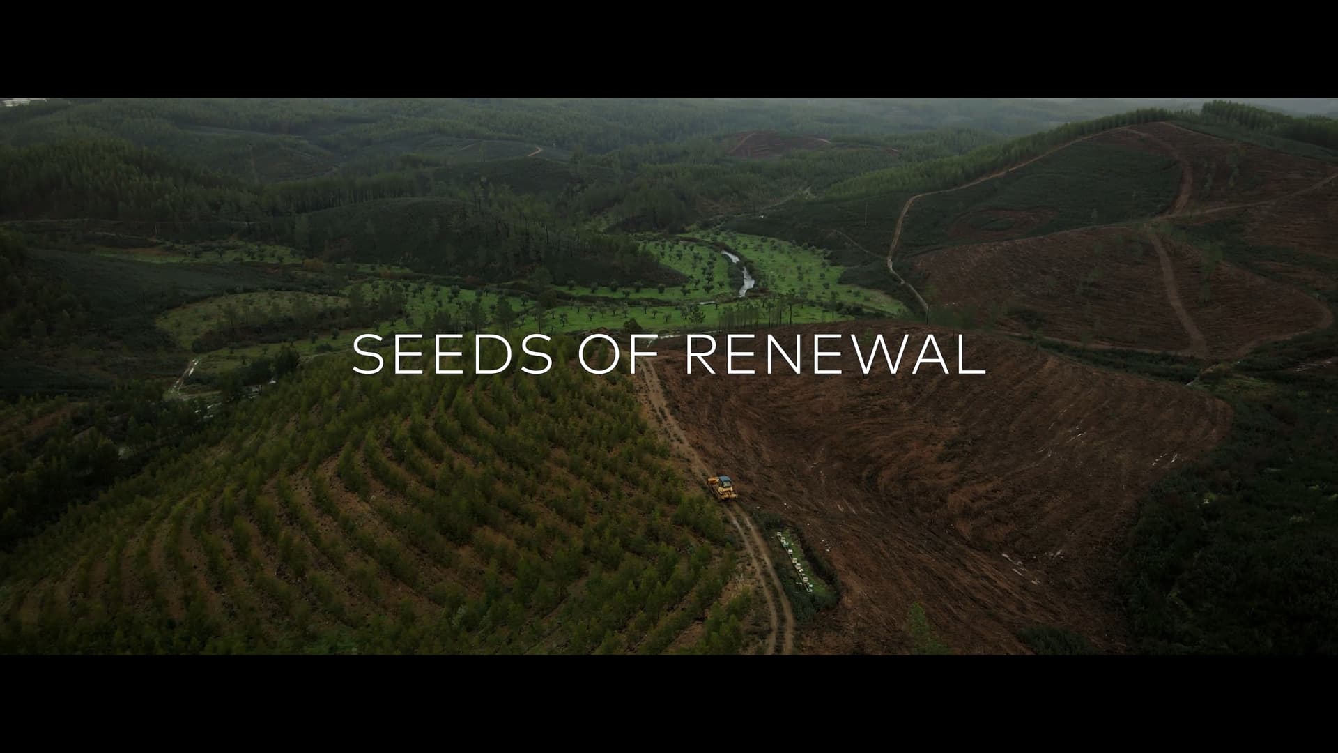 Seeds of Renewal – Portugal