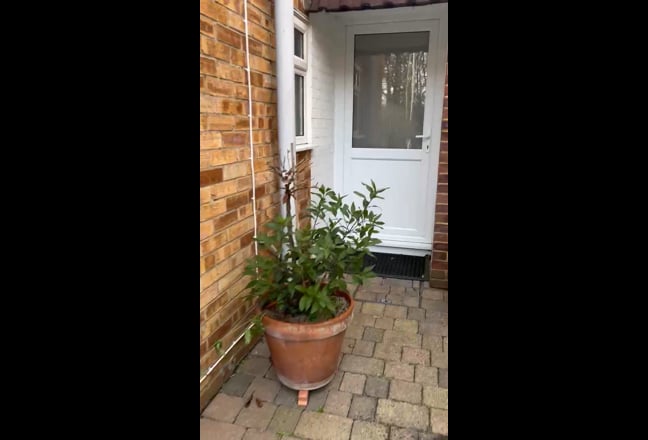 Video 1: