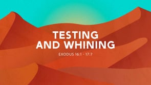 Testing and Whining