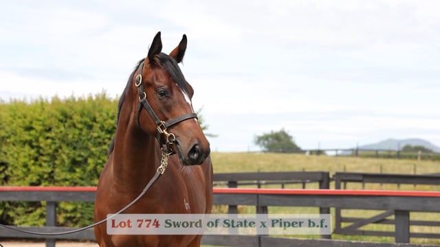 Lot 774