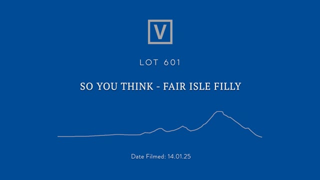 Lot 601