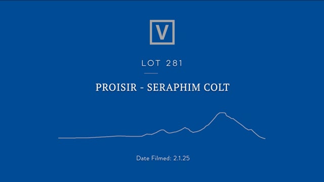 Lot 281