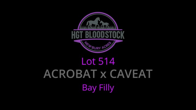 Lot 514