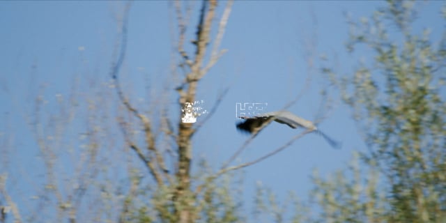 Put Rijeka - Najava 15s - 07 Kupa - h264