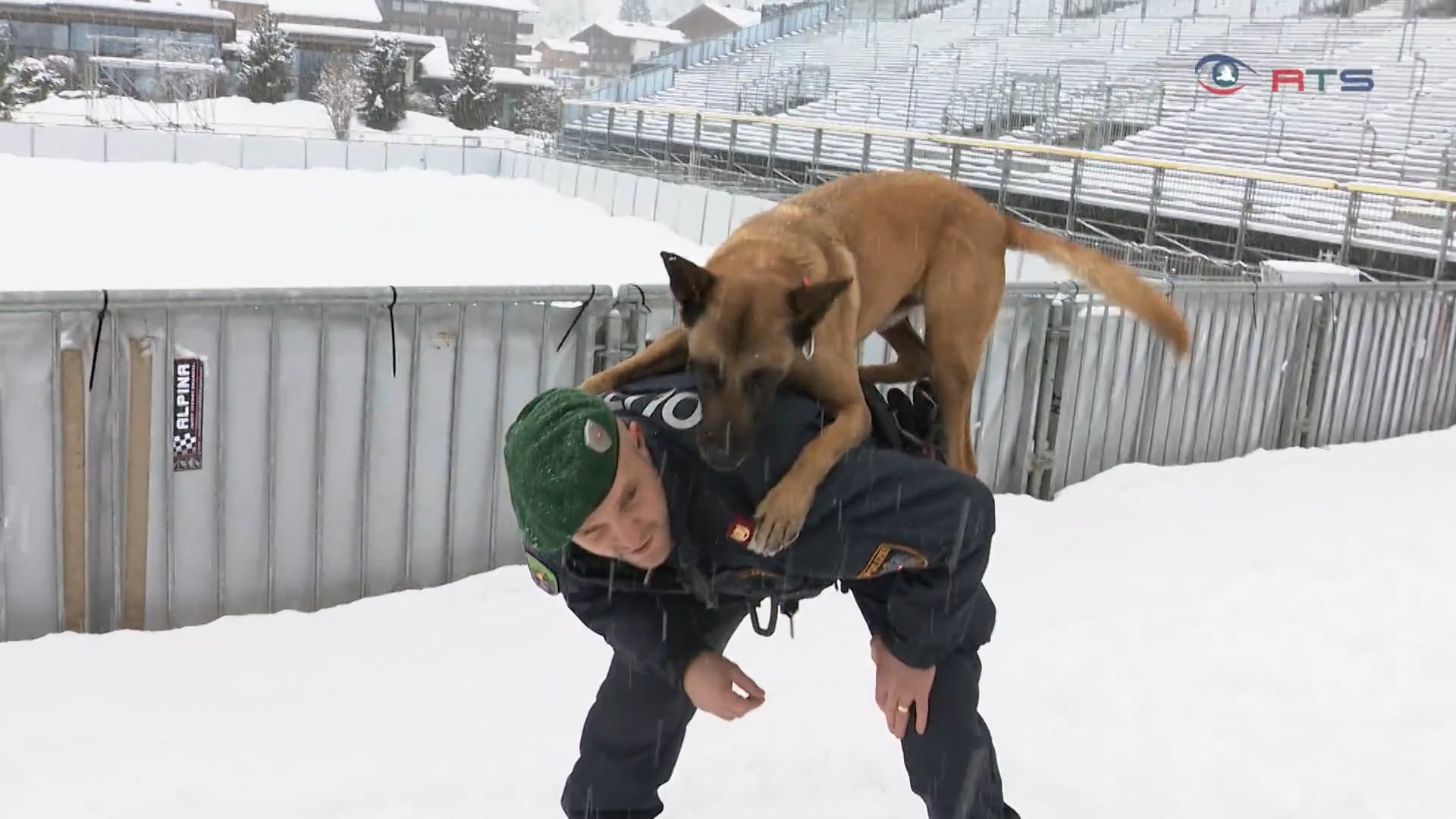 tierische-unterstuetzung-fuer-sicherheit-bei-ski-wm-in-saalbach-hinterglemm