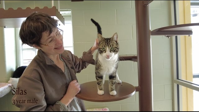 Lucy Mackenzie January "Adoptables"  2025